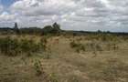 Land at Nturukuma - 3