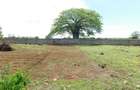 10,000 ft² Land at Vipingo - 1