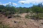 0.25 ac Residential Land at Makutano - 1