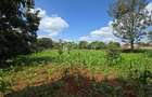 Residential Land in Runda - 3