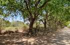 75 ac Land at Vipingo - 18