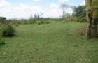 25 ac Land at Moi S Lake Rd - 10