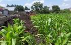 0.125 ac Residential Land in Ongata Rongai - 5