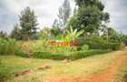 0.05 ha Residential Land in Kikuyu Town - 1