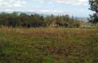 0.2 ha Residential Land in Ngong - 2