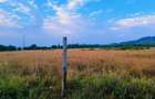 10 ac Land at Mweiga - 20