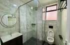 1 Bed Apartment with En Suite in Rhapta Road - 11