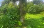 Land in Karen - 1