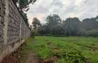 Residential Land at Ndege Road - 15