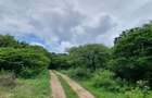 Land in Vipingo - 5