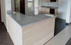 5 Bed Townhouse with En Suite at Lavington Green - 19