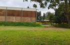 Commercial Property in Limuru - 2