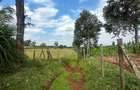 Residential Land in Tigoni - 4