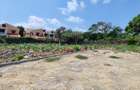 1,000 m² Land at Serena Mombasa - 13