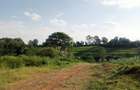 Land in Tigoni - 5