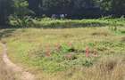Land at Nyali Green Wood - 6