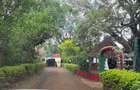 Commercial Property with Parking in Lavington - 1