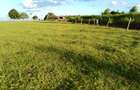 21 ac Land in Cianda - 7