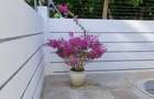 3 Bed Villa with En Suite at La-Marina Mtwapa - 6