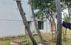 3 Bed House with En Suite at Tiwi South Coast - 6