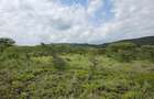 0.125 ac Land at Sakuda - 5