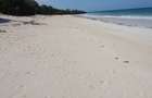 Land at Diani - 18