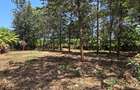 Residential Land at New Kitisuru - 1