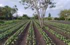 Residential Land in Athi River - 4
