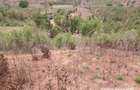 2.41 ac Land at Makonde Rd - 8