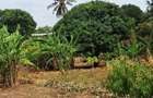 8 Bed House with En Suite at Kikambala - 15
