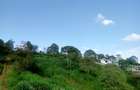 Land in Tigoni - 4