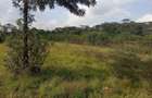 Land in Karen - 5