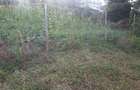 0.0113 ac Residential Land in Ngong - 10