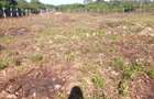 464 m² Residential Land at Diani - 3