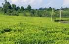67 ac Land at Ndumberi-Ngorongo Road - 2