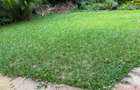 4 Bed Townhouse with En Suite at Lavington Nairobi Kenya - 9