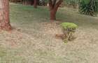 0.25 ac Land in Thika - 1