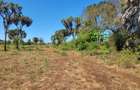 Land in Diani - 9
