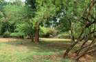 3 ac Land at Kilifi - 13