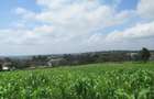 Land at Ngong Town - 10