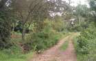 500 m² Residential Land in Ngong - 6