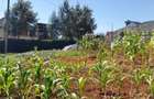 1,000 m² Residential Land in Kikuyu Town - 9