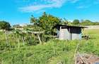 Land at Bamburi Utange - 13