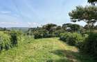 6 ac Land in Nakuru - 6