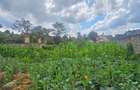 Residential Land in Runda - 6