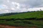 31 ac Land at Limuru Road - 3