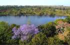 500 m² Residential Land at Oaklands - 5