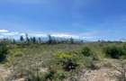 0.5 ac Land in Nanyuki - 8
