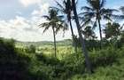 Land at Vipingo - 3
