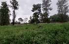 Residential Land at Runda Grove - 14